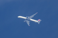 N516DN